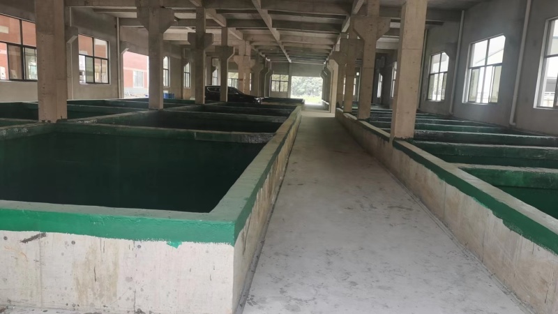 【清水藕】藕片对接电商餐厅市场团购等各类客户