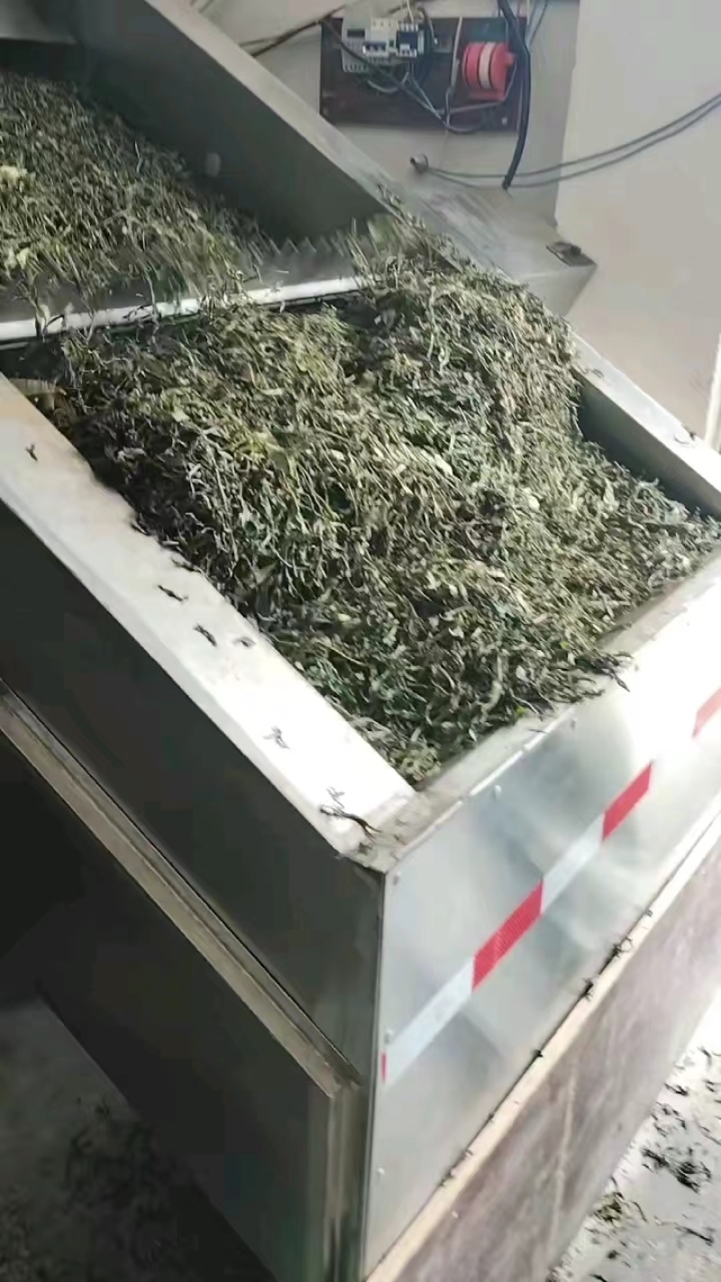 土山茶，八仙茶，春茶大量现货欢迎电联量大从优