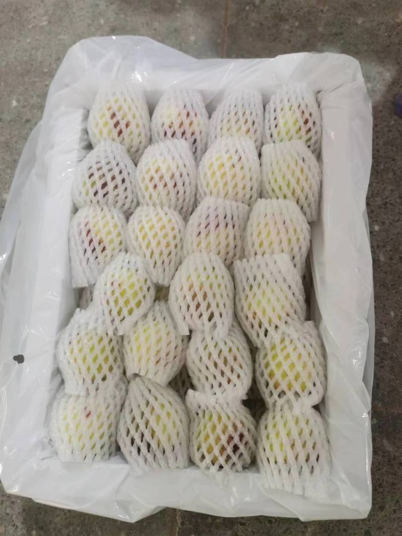 陕西大荔冬枣品质好个头大脆甜可远程看货欢迎联系
