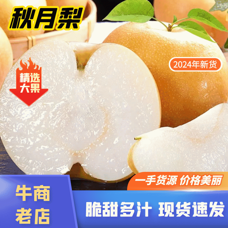 精品秋月梨/丰水梨/产地直发脆甜多汁对接社团电商