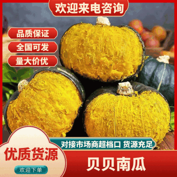 贝贝南瓜，精品南瓜，支持视频看货，货源充足欢迎来电