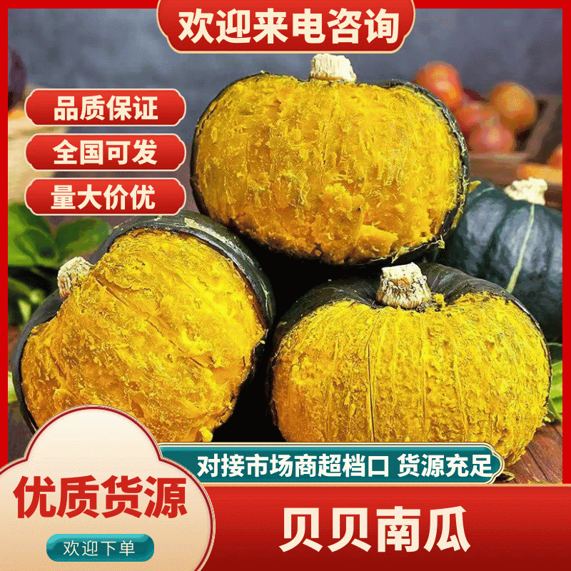 贝贝南瓜，精品南瓜，支持视频看货，货源充足欢迎来电