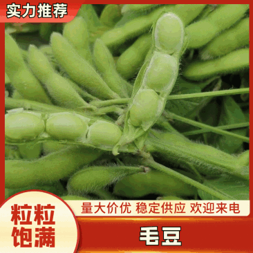 【毛豆】精品翠绿宝开心绿绿宝石品种齐全量大从优