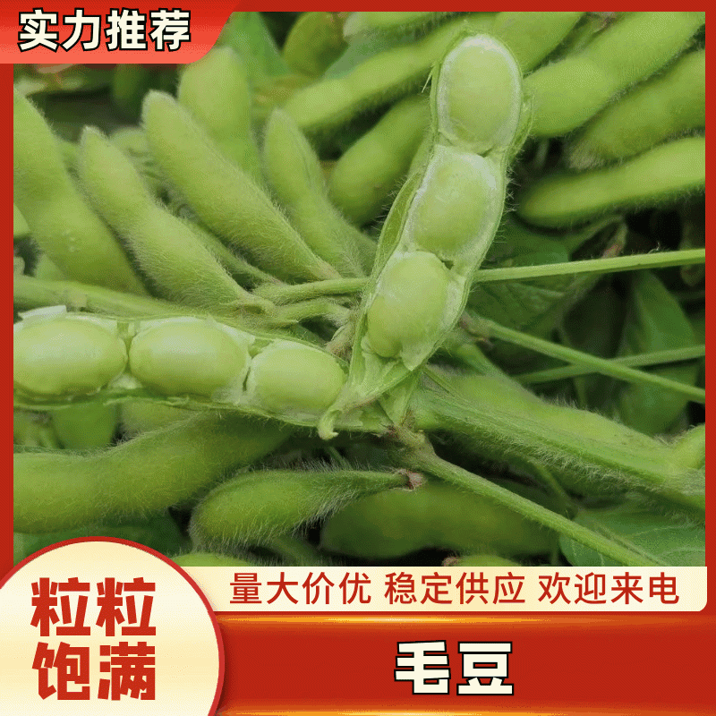 【毛豆】精品翠绿宝开心绿绿宝石品种齐全量大从优