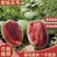 山西运城金城5号西瓜2026大棚无籽西瓜口感清甜