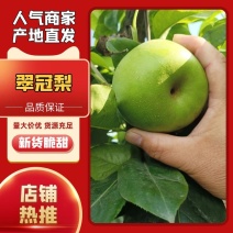 【精】翠冠梨湖北翠冠梨光果全国发货供应各大市场现摘现发