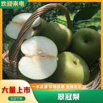 【实力供货】翠冠梨湖北翠冠梨产地直发提供一条龙服务