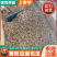 山东黄粉虫干虫营养丰富基地直发质量保证全国发货