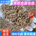 黄粉虫面包虫干虫基地自产自销规格齐全量大从优