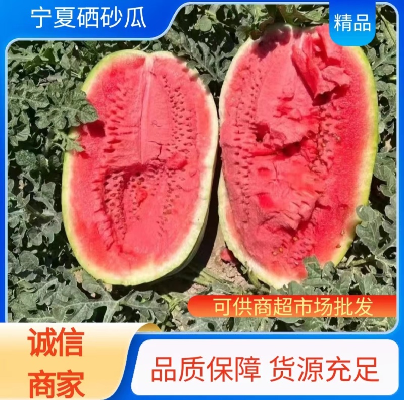 正宗宁夏硒砂瓜石头瓜可现场看货视频看货一手货源