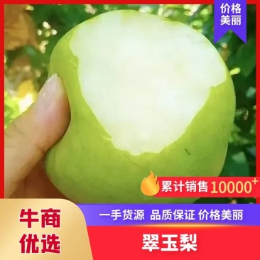 【实力】安徽砀山精品翠玉梨酥脆一号大量上市代发全国