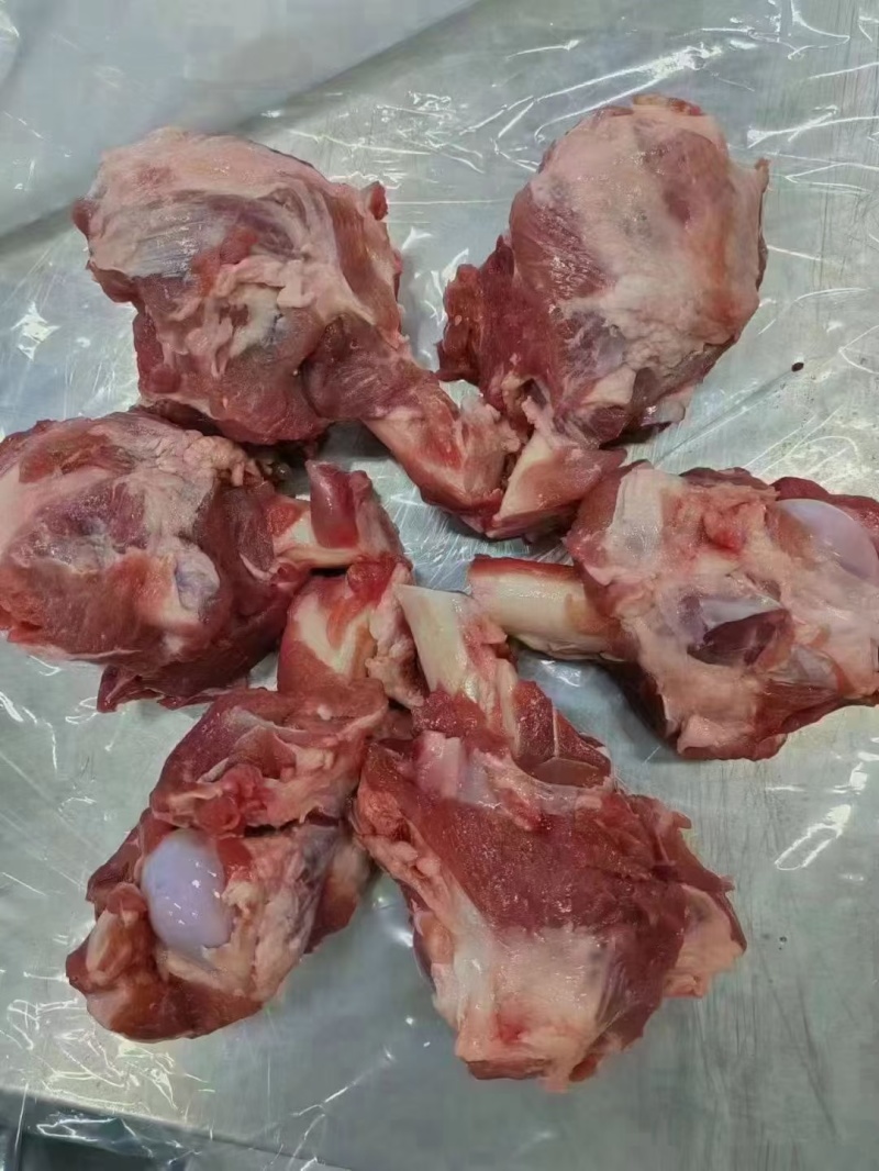 带肉羊棒骨羊骨头多肉羊棒骨