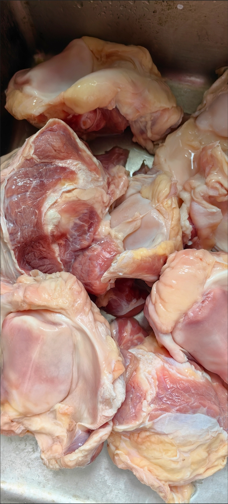 带肉牛膝盖骨新鲜牛大骨牛骨头网红吃播黄牛牛窝骨