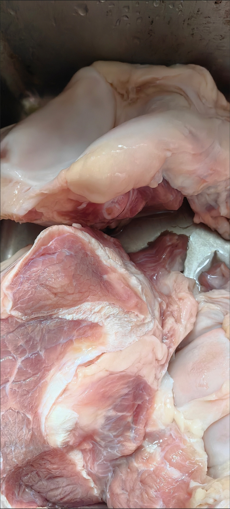 带肉牛膝盖骨新鲜牛大骨牛骨头网红吃播黄牛牛窝骨