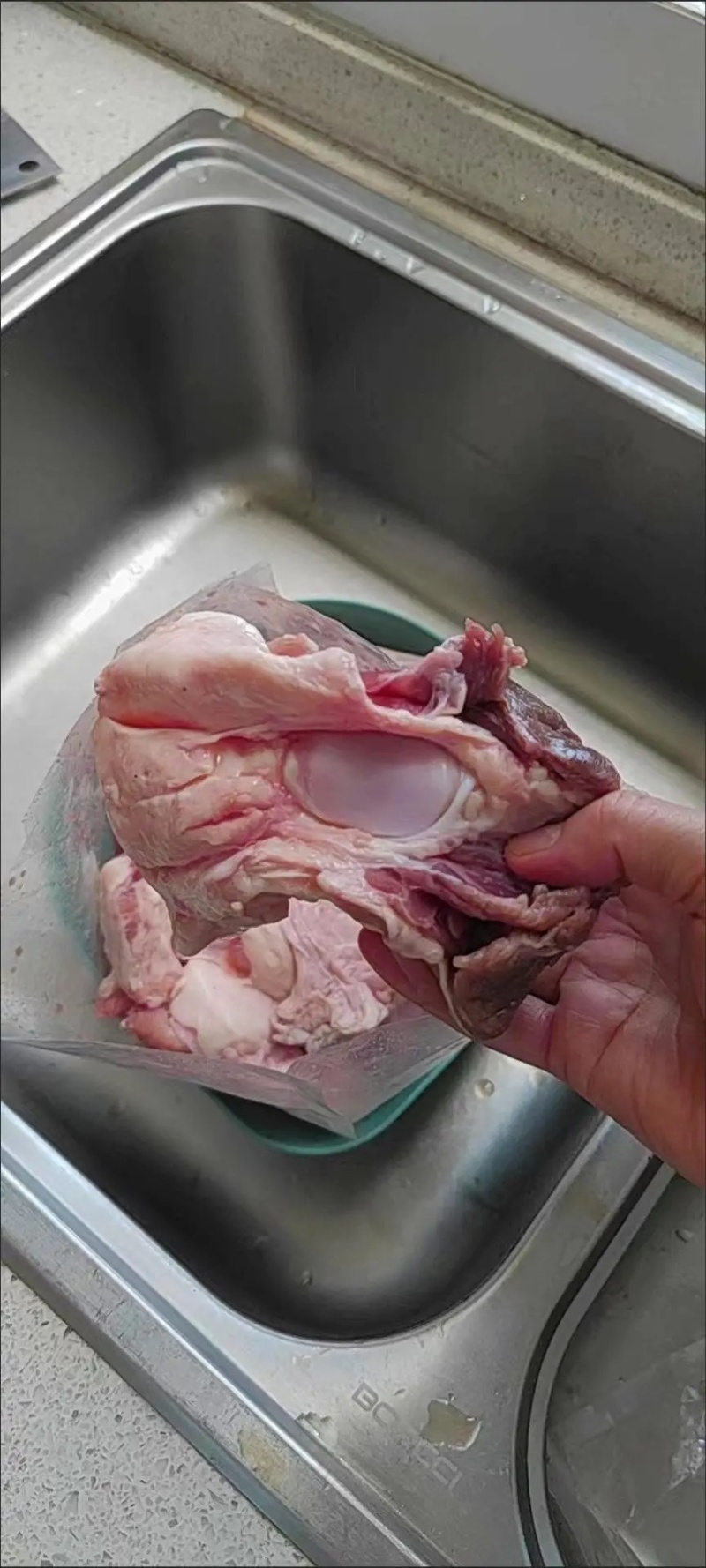 带肉牛膝盖骨新鲜牛大骨牛骨头网红吃播黄牛牛窝骨