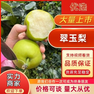 【精选】万亩翠玉梨套袋果大量上市上货快价格美丽大吨位供应