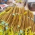 24年小白嘴山药大量上市，一手货源产地直发，5000斤起