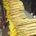 24年小白嘴山药大量上市，一手货源产地直发，5000斤起