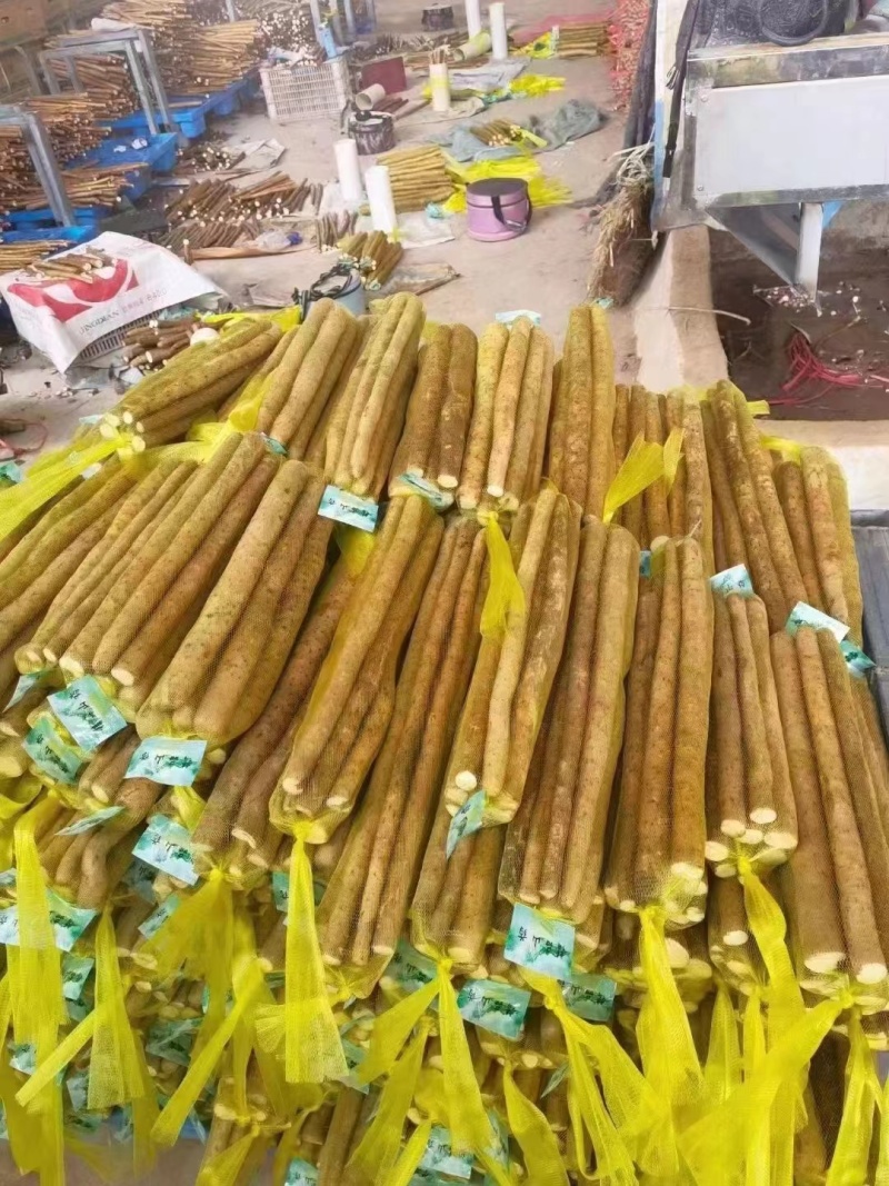 24年小白嘴山药大量上市，一手货源产地直发，5000斤起