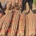 24年垆土铁棍山药大量上市，一手货源，3000斤起批