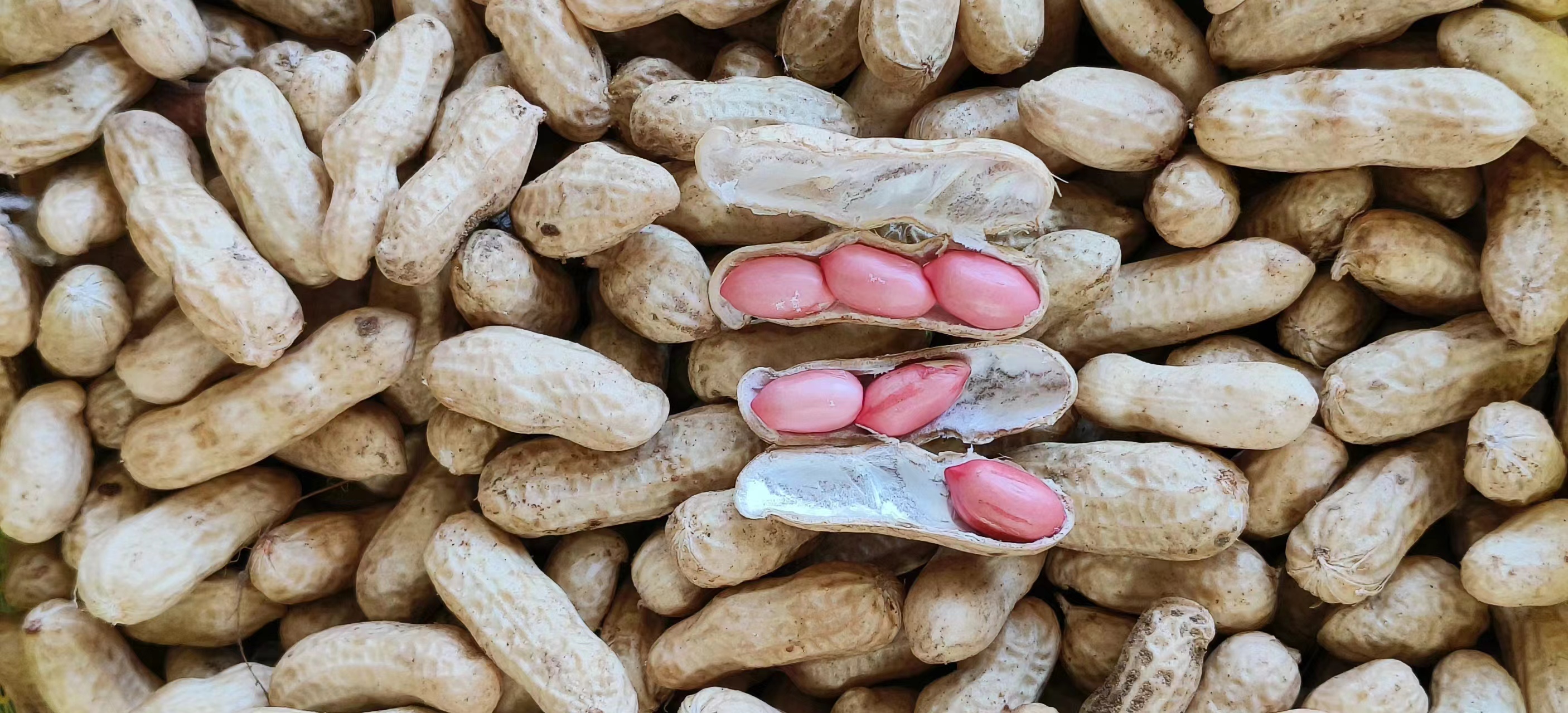 健康食用花生示意图