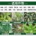 病毒病特效套餐组合金独.厂家直发.品质保证.欢迎大家选购