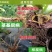 根之盾跟部病害专业用药.厂家直发.品质保证.欢迎大家选购