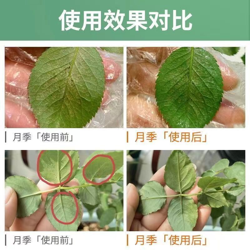 红蜘蛛专用**助剂二斑叶螨茶黄螨.厂家直发.品质保证