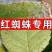 红蜘蛛专用**助剂二斑叶螨茶黄螨.厂家直发.品质保证
