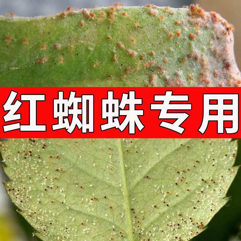 红蜘蛛专用**助剂二斑叶螨茶黄螨.厂家直发.品质保证