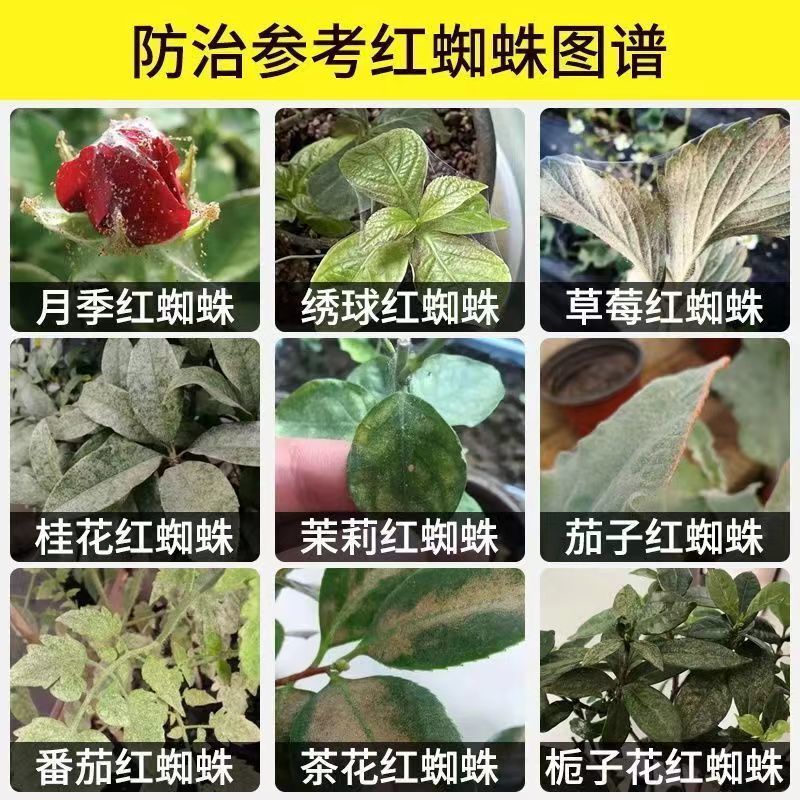 红蜘蛛专用**助剂二斑叶螨茶黄螨.厂家直发.品质保证