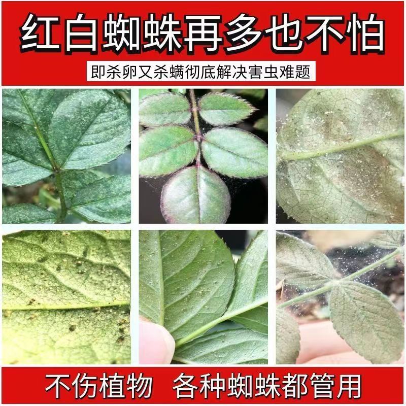 红蜘蛛专用**助剂二斑叶螨茶黄螨.厂家直发.品质保证