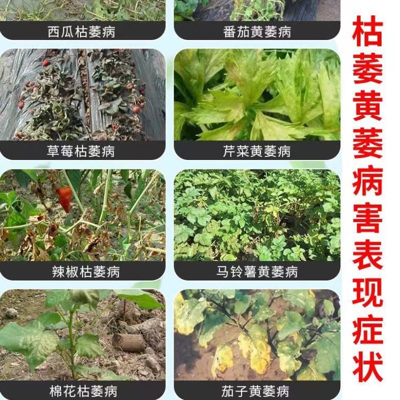 枯黄立刻枯黄萎病青枯病专用.厂家直发.品质保证.欢迎大家选购