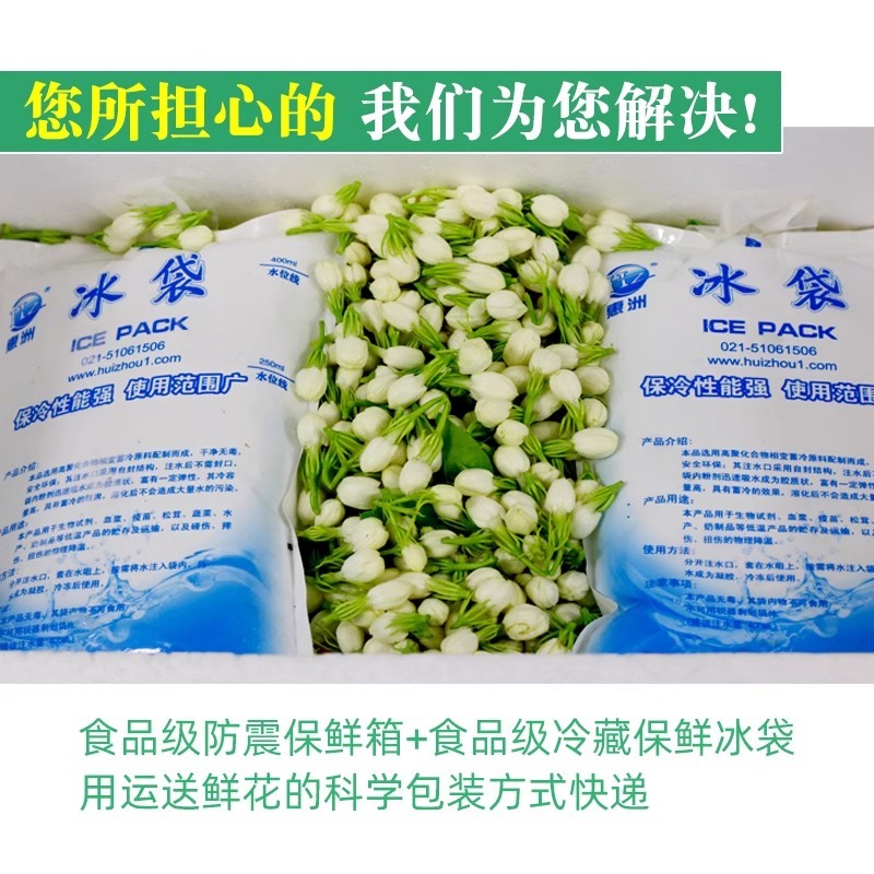 广西横县茉莉鲜花苞可食用优质花骨朵花苞蜜酱纯露酵素现摘