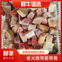 黄牛公牛脚掌，出肉率高，鲜度好。【支持定制，一件代发】