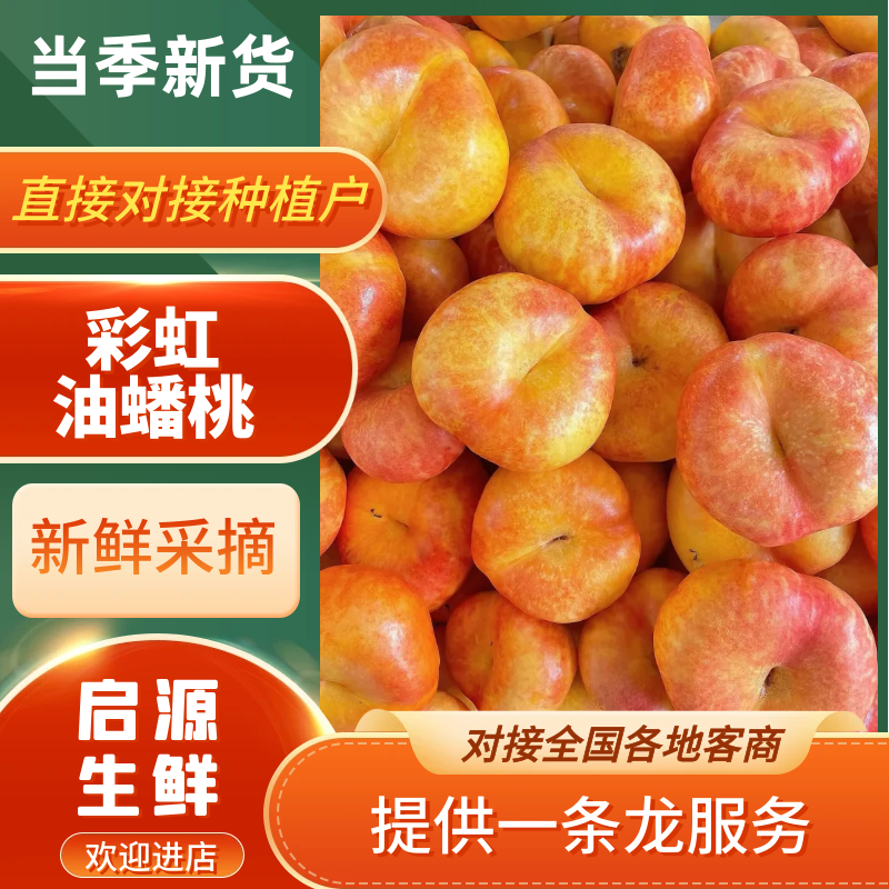 【实力热卖】黄金油蟠桃黄油蟠桃彩虹油蟠桃可一件代发量供应
