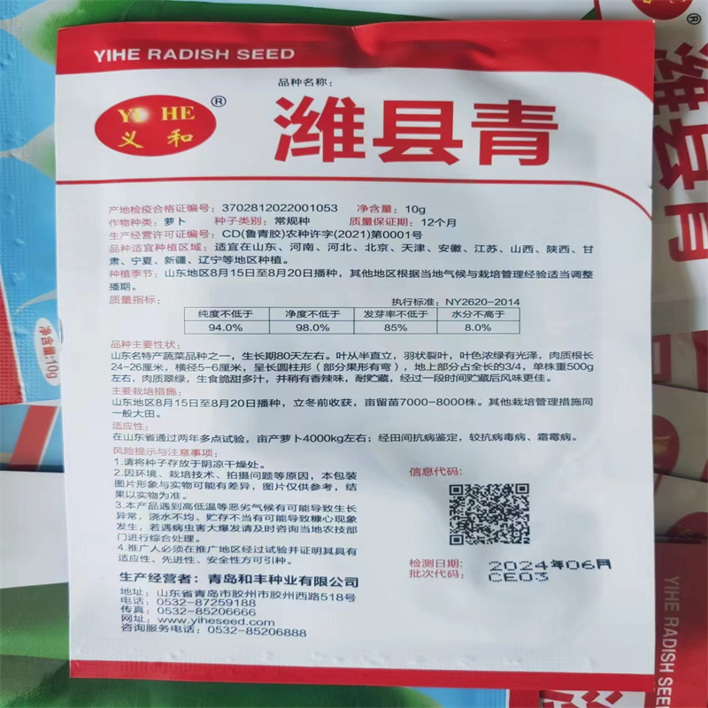 水果萝卜种子改良潍县青里外青萝卜种子高产甜脆青萝卜种子