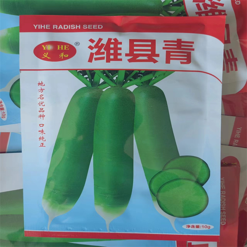 水果萝卜种子改良潍县青里外青萝卜种子高产甜脆青萝卜种子
