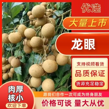 （推荐）龙眼大量上市，保质保量，一手货源，代发全国
