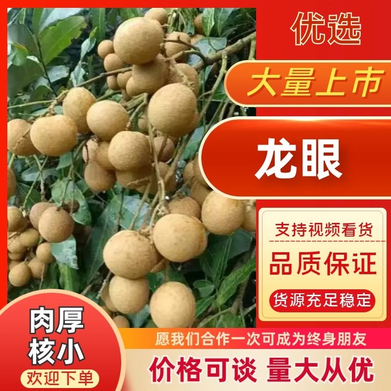 （推荐）龙眼大量上市，保质保量，一手货源，代发全国