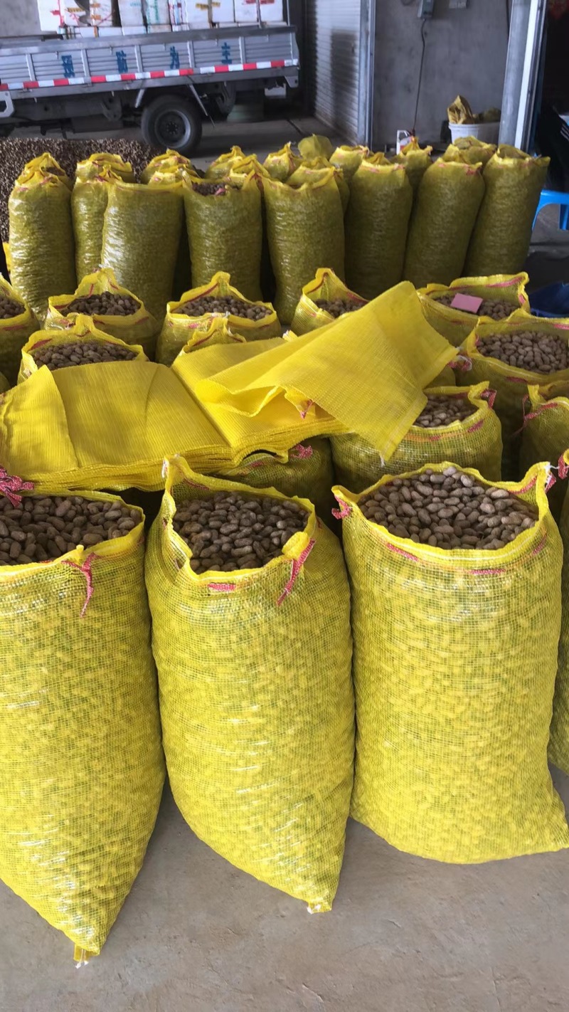 （精品）广西花生精品花生货源充足现货现发诚信经营