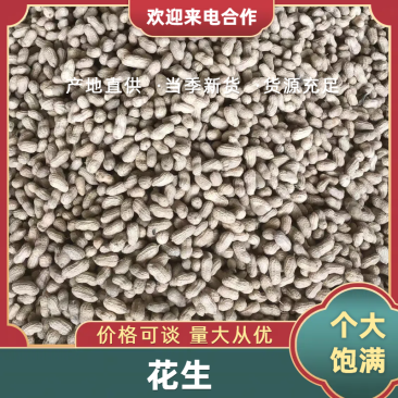（精品）广西花生精品花生货源充足现货现发诚信经营