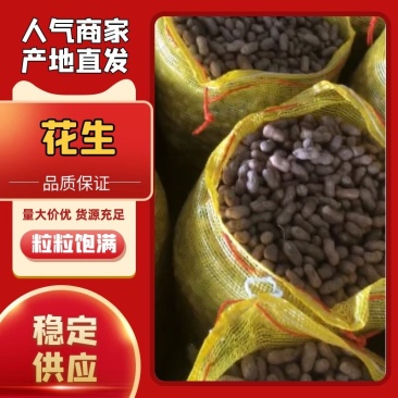 （实力）广西花生精品花生货源充足现货现发诚信经营