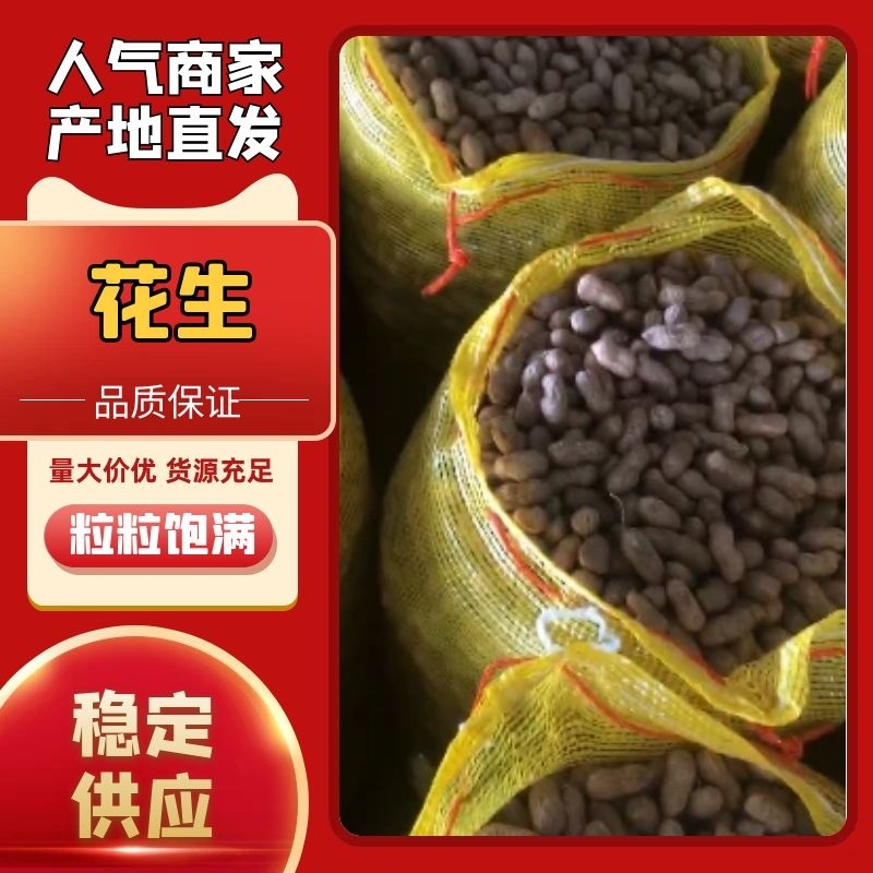 （实力）广西花生精品花生货源充足现货现发诚信经营
