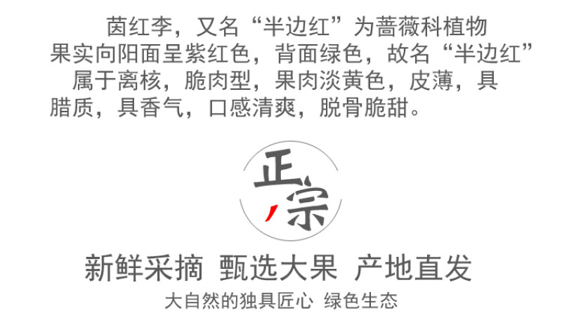半边红李子一件代发茵红李脱骨李青红脆李