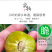 半边红李子一件代发茵红李脱骨李青红脆李