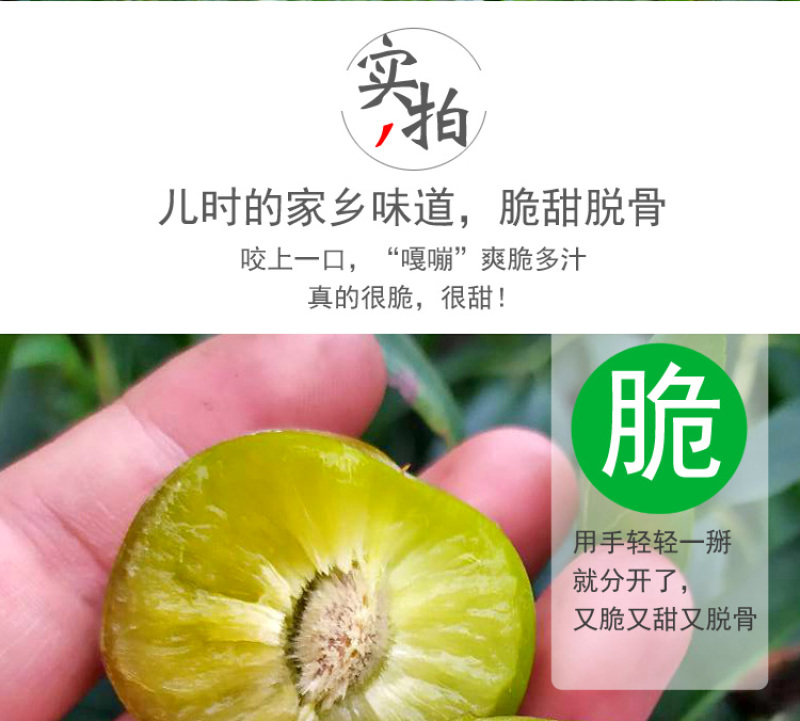 半边红李子一件代发茵红李脱骨李青红脆李