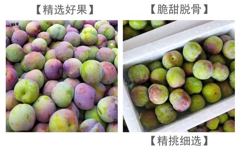 半边红李子一件代发茵红李脱骨李青红脆李