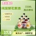 【黄氏酒厂·花果酒贴牌·厂家直发】纯酿果酒小清柠酒330