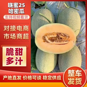 山东晓密25量大质优产地直发欢迎合作